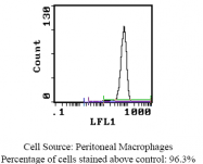 SM262B - CD11b