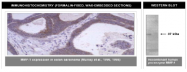 AM05376PU-N - MMP-1