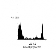 AM05173RP-N - CD8