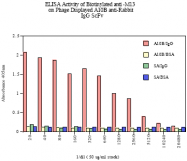 AM05393BT-N - M13 Bacteriophage G3P Minor Coat