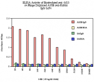 AM05393PU-N - M13 Bacteriophage G3P Minor Coat