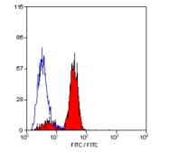 SM2052FS - CLEC7A / Dectin-1