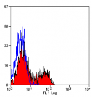 AM05884FC-N - CD163