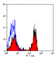 AM05885FC-N - CD172a / SIRPA