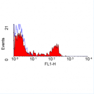 AM05901FC-N - CD8