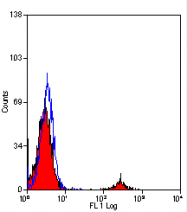 AM01058FC-N - CD19