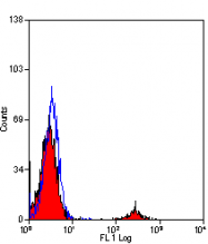 AM01058PU-T - CD19