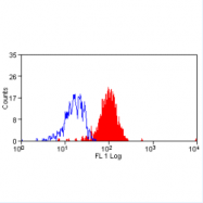 AM05613FC-N - CD274 / PDL1