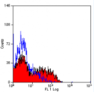 AM01064SU-N - CD1b3