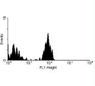 AM05528FC-N - CD3