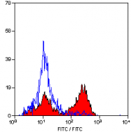 AM05528PU-L - CD3
