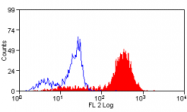 AM05665RP-N - CD14