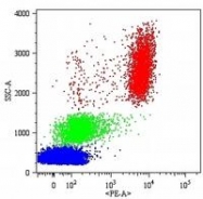 SM3011R - CD16