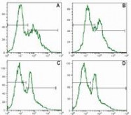 SM3015P - CD25 / IL2RA