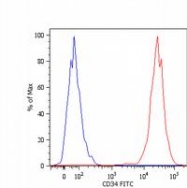 SM3018F - CD34
