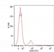 AM03135AF-N - CD40