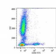 BM2401F - CD56