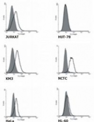 SM3132P - TNFRSF21 / Death receptor 6 (DR6)