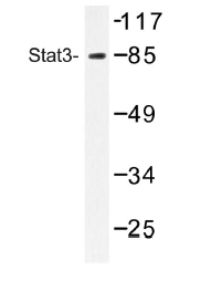 AP01233PU-N - STAT3