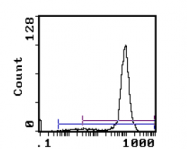 CL007R - CD8