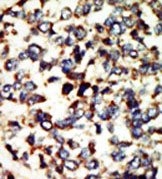 AP15026PU-N - NEK7