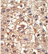 AP11253PU-N - PIAS4