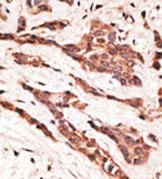 AP13103PU-N - EDG4 / LPAR2