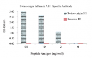 AP02807PU-N - Influenza A H1N1