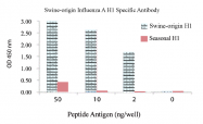 AP02808PU-N - Influenza A H1N1