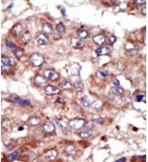 AP12265PU-N - ACSL6