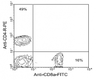 AM08023FC-N - CD8