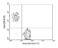 AM08024RP-N - CD5