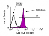AM08025FC-N - CD2