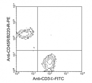 AM08026FC-N - CD3