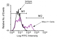 AM08031PU-N - CD11b