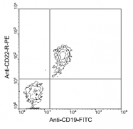AM08033RP-N - CD22