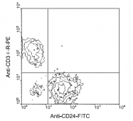 AM08034FC-N - CD24
