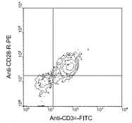 AM08037RP-N - CD28
