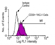 AM08039FC-N - CD30