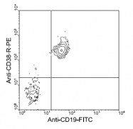 AM08041FC-N - CD38