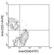 AM08042FC-N - CD40