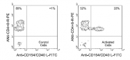AM08043FC-N - CD154 / CD40L