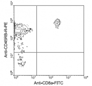 AM08045RP-N - CD45 / LCA