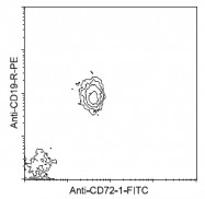 AM08051FC-N - CD72