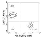 AM08055FC-N - CD90.2