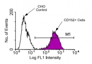 AM08060FC-N - CD152 / CTLA4