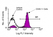 AM08062FC-N - CD45 / LCA