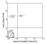 AM08068BT-N - CD103