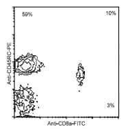 AM08070RP-N - CD45 / LCA