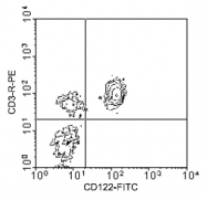 AM08078FC-N - CD122 / IL2RB